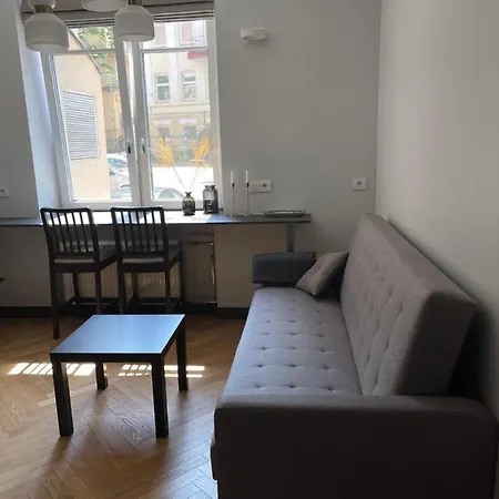 Newly Renovated In The Center * Vilnius