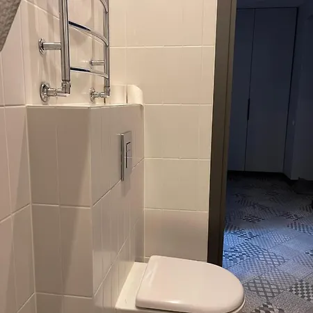 Newly Renovated In The Center 公寓 维尔纽斯