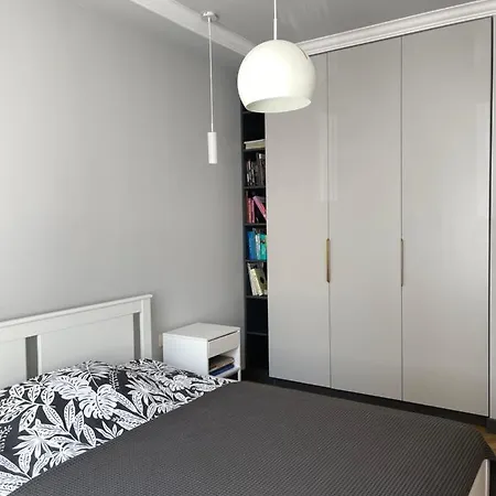 Newly Renovated In The Center * Vilnius